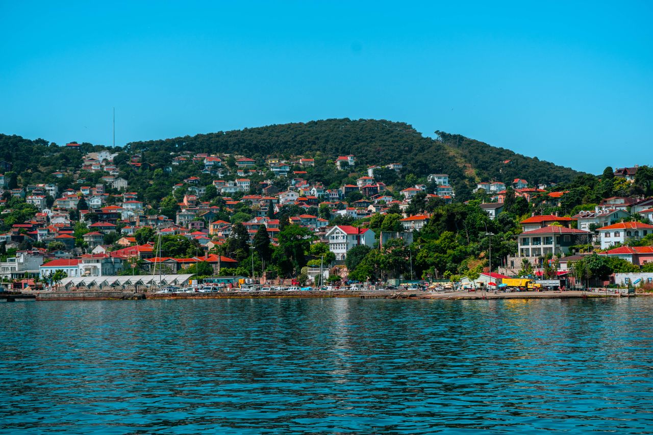 Panoramic view of a hillside with houses by the sea, blue sky, and lush greenery.