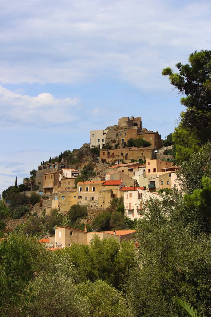 Aged houses located on top of hill near green bushes and tree against cloudless sky in nature in daytime